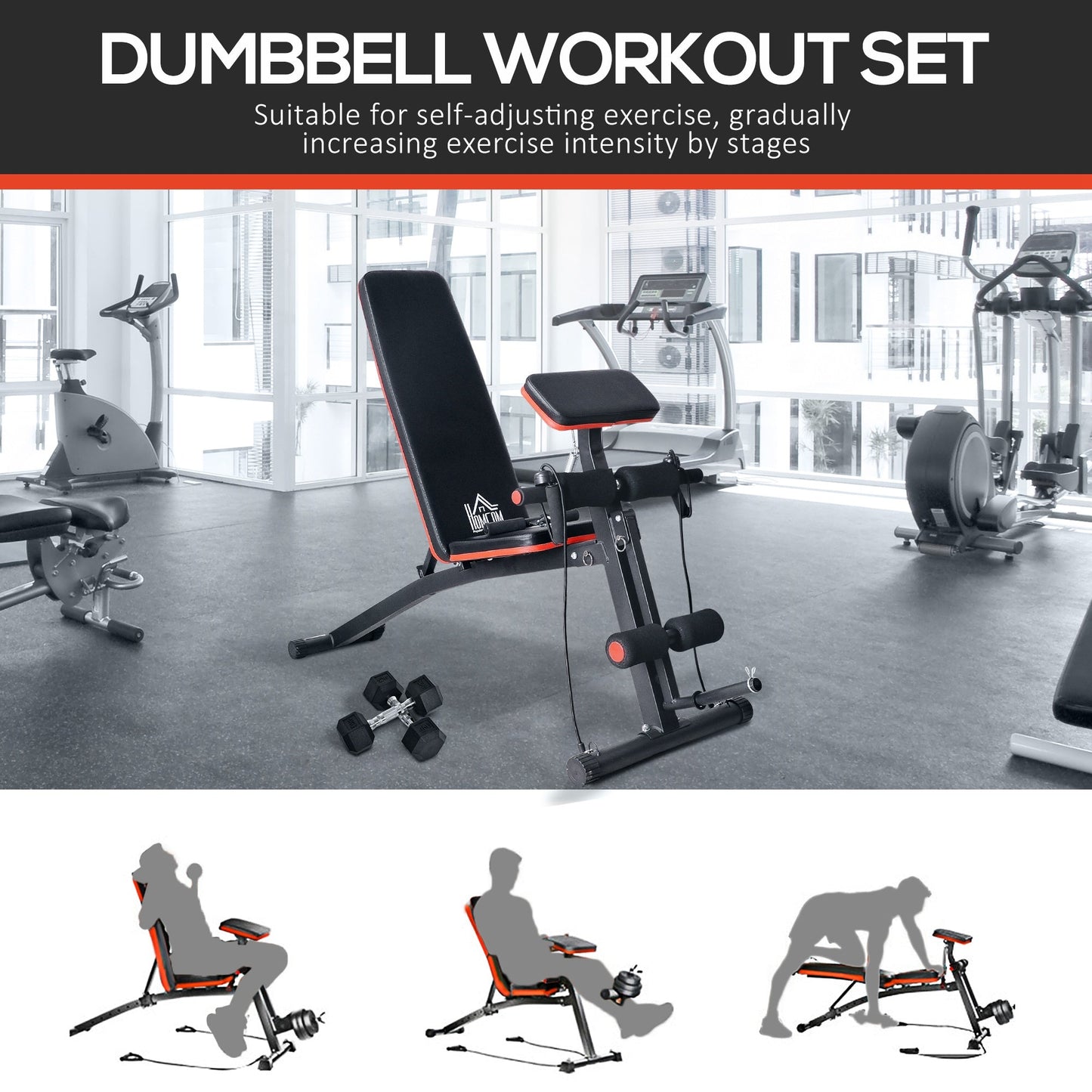 HOMCOM Adjustable Reclined Dumbbell Bench Weight Lifting Set Folding Sit Up Ab Bench Home Training Gym Multiuse Workout Exercise Fitness with 2 x 4kg Dumbbells