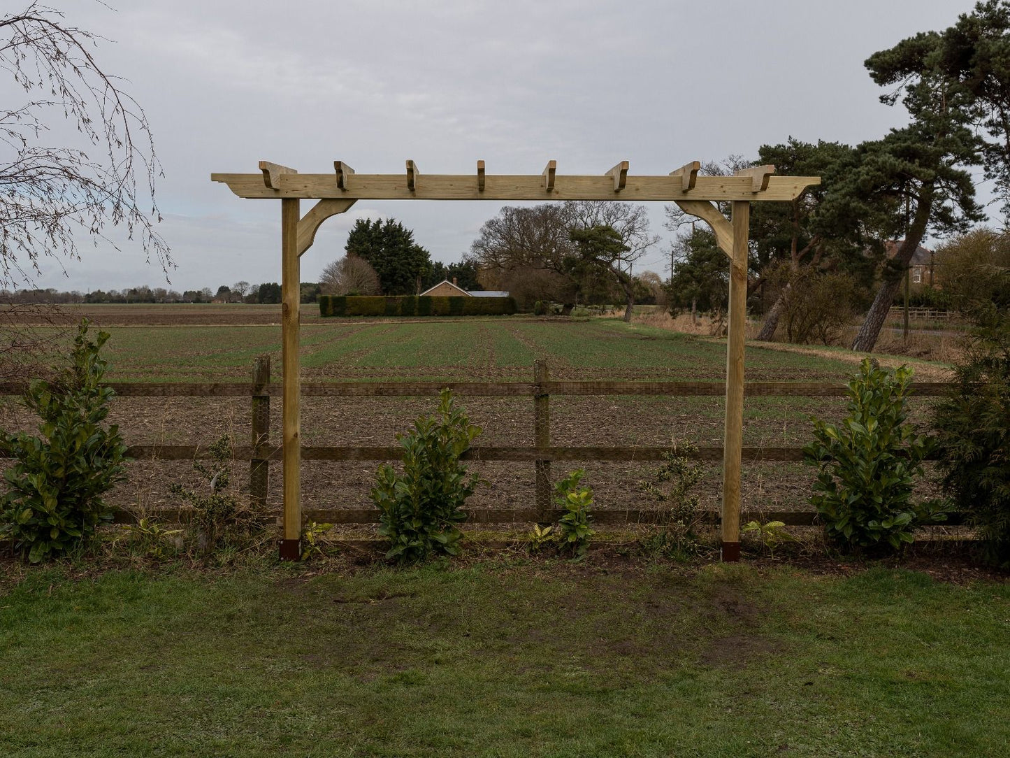 Sculpted Double Beam Pergola, Plant Climbing Arbour - Sculpted brace